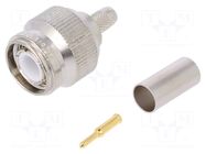Connector: TNC; plug; male; straight; 50Ω; crimped; for cable; PTFE TELEGÄRTNER