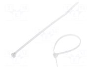 Cable tie; with a metal clasp; L: 102mm; W: 2.4mm; natural; 80N PANDUIT