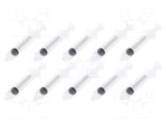 Syringe; 10ml; transparent; Luer Lock; polypropylene; 10pcs. FISNAR