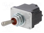 Switch: toggle; Pos: 2; DPST; ON-OFF; 6A/230VAC; 20A/28VDC; TL; IP67 HONEYWELL