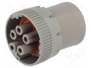 Connector: circular; HD10; female; plug; for cable; PIN: 5 DEUTSCH