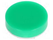 Cap; Illumin: none; Ø19x9mm; green-white; LB Panel Seal NKK SWITCHES