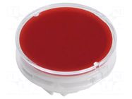 Cap; Illumin: none; Ø19x9mm; red,transparent; LB Panel Seal NKK SWITCHES