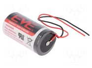 Battery: lithium; D; 3.6V; 19000mAh; non-rechargeable; cables EVE BATTERY