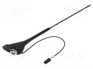 Antenna; 0.4m; Alfa Romeo,Fiat; with amplifier; 0.3m 4CARMEDIA