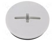 Stopper; M25; 1.5; IP68; polyamide; light grey; SKINDICHT®; 8mm LAPP