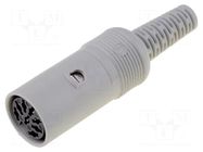 Connector: DIN; plug; female; PIN: 8; 262°; straight; for cable HIRSCHMANN