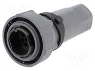 Connector: circular; plug; male; PIN: 10; w/o contacts; for cable BULGIN