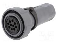 Connector: circular; plug; female; PIN: 10; w/o contacts; for cable BULGIN