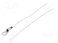 Sensor: temperature; Pt100; 100Ω; cl.B; Leads: leads x2; 0.5m TEWA TEMPERATURE SENSORS