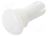 Rivet; polyamide; L.rivet: 10.5mm; white; dismountable,push-in DREMEC