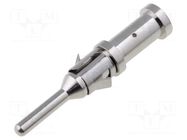Contact; male; brass; nickel plated; 18AWG÷14AWG; crimped BULGIN