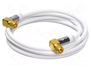 Cable; 3m; F plug angular,both sides; PVC; shielded connectors GOOBAY
