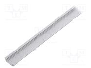 Profiles for LED modules; natural; L: 1m; GROOVE14; aluminium TOPMET