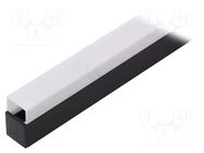 Profiles for LED modules; white; black; L: 1m; LINEA20; aluminium TOPMET