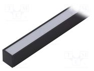 Profiles for LED modules; white; black; L: 1m; LINEA20; aluminium TOPMET