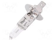 Filament lamp: automotive; P14,5s; transparent; 12V; 55W ELTA