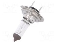 Filament lamp: automotive; PY25D-1; transparent; 12V; 65W ELTA