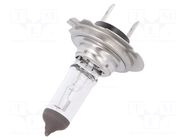 Filament lamp: automotive; PY25D-1; transparent; 12V; 65W ELTA