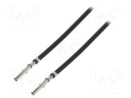 Cable with connectors; Standard .062" female,both sides; 22AWG MOLEX
