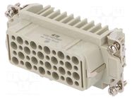 Connector: HDC; female; HD; PIN: 40; 10A; 250V; 40+PE; size 6; crimped TE Connectivity