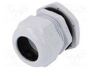 Cable gland; PG36; IP67; polyamide; grey PAWBOL