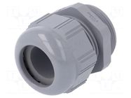 Cable gland; PG42; IP68; polyamide; dark grey; SKINTOP® LAPP