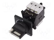 Main emergency switch-disconnector; Poles: 3; on panel; 32A; IP65 SCHNEIDER ELECTRIC