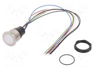Switch: capacitive; Pos: 2; SPST-NO; 0.1A/42VAC; 0.1A/60VDC; IP67 SCHURTER