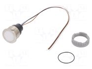 Switch: capacitive; Pos: 2; SPST; 0.1A/42VAC; 0.1A/60VDC; IP67; CPS SCHURTER
