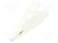 Crocodile clip; 32A; 1kVDC; white; Grip capac: max.30mm STÄUBLI