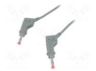 Test lead; 32A; banana plug 4mm,both sides; Urated: 600V; Len: 1m 