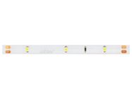 LED line® strip 150 SMD 12V 6500K 2,4W IP65