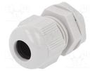 Cable gland; M16; 1.5; IP68; polyamide; light grey RITTAL