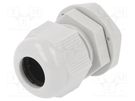 Cable gland; M20; 1.5; IP68; polyamide; light grey RITTAL