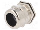 Cable gland; M40; 1.5; IP68; brass RITTAL