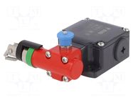 Safety switch: singlesided rope switch; NC x2; FL; -25÷80°C; IP67 PIZZATO ELETTRICA