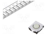 Microswitch TACT; SPST; Pos: 2; 0.02A/15VDC; SMT; none; 3.5N; 2.5mm PANASONIC