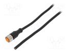 Connection lead; M12; PIN: 4; straight; 5m; plug; 250VAC; 4A; IP67 LUTRONIC