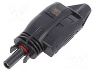 Connector: solar; plug; female; SOLARLOK 2.0; IP68; for cable; 35A TE Connectivity