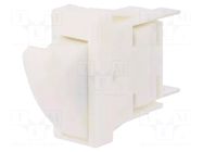 Switch: door; Pos: 2; SPST-NC; 0.3A/250VAC; Leads: connectors; 3000 BULGIN