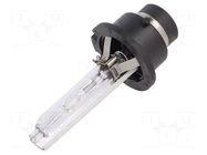 Filament lamp: automotive; PK32d-2; transparent; 85V; 35W; 7000K ELTA