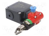 Safety switch: singlesided rope switch; NC x2 + NO; FL; -25÷80°C PIZZATO ELETTRICA