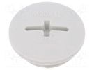 Stopper; M20; 1.5; IP68; polyamide; light grey; SKINDICHT®; 6mm LAPP