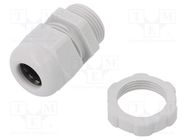 Cable gland; PG13,5; IP68; polyamide; light grey; V-TEC PG OBO BETTERMANN