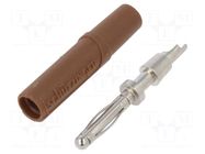 Connector: 2mm banana; plug; 10A; 33VAC; 70VDC; brown; -25÷90°C SCHÜTZINGER