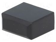 Cap; black; PVA C&K