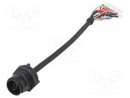 Cable; USB Buccaneer; USB C socket,24pin plug; IP68; PIN: 24 BULGIN