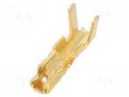 Contact; female; phosphor bronze; gold flash; 0.08÷0.22mm2; 2A JST