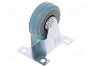 Transport wheel; Ø: 50mm; W: 17mm; H: 69mm; rigid; 35kg; steel; PG RADER